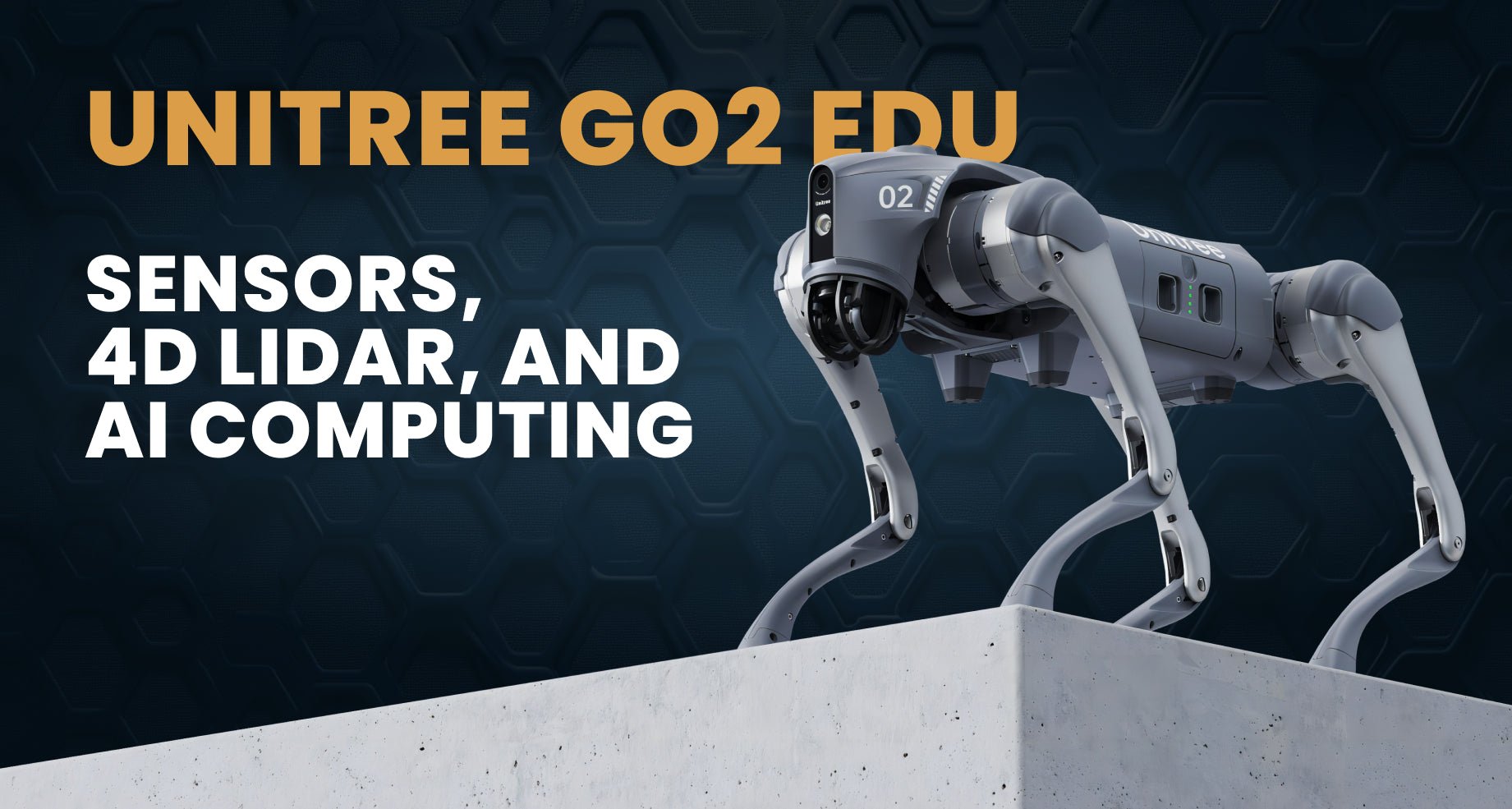 Go2 EDU Robot – Advanced Sensors, 4D LiDAR, and AI Computing - RoboStore