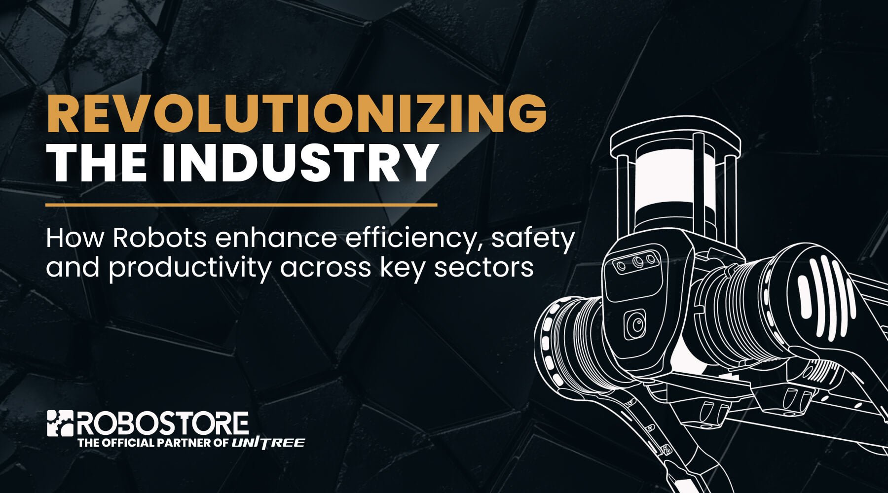How Unitree Robotics is Shaping the Fourth Industrial Revolution - RoboStore