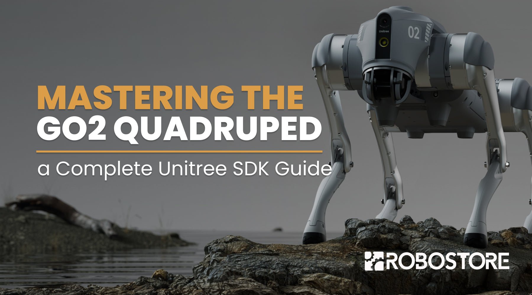 Mastering the Unitree SDK for the Go2 Quadruped - RoboStore