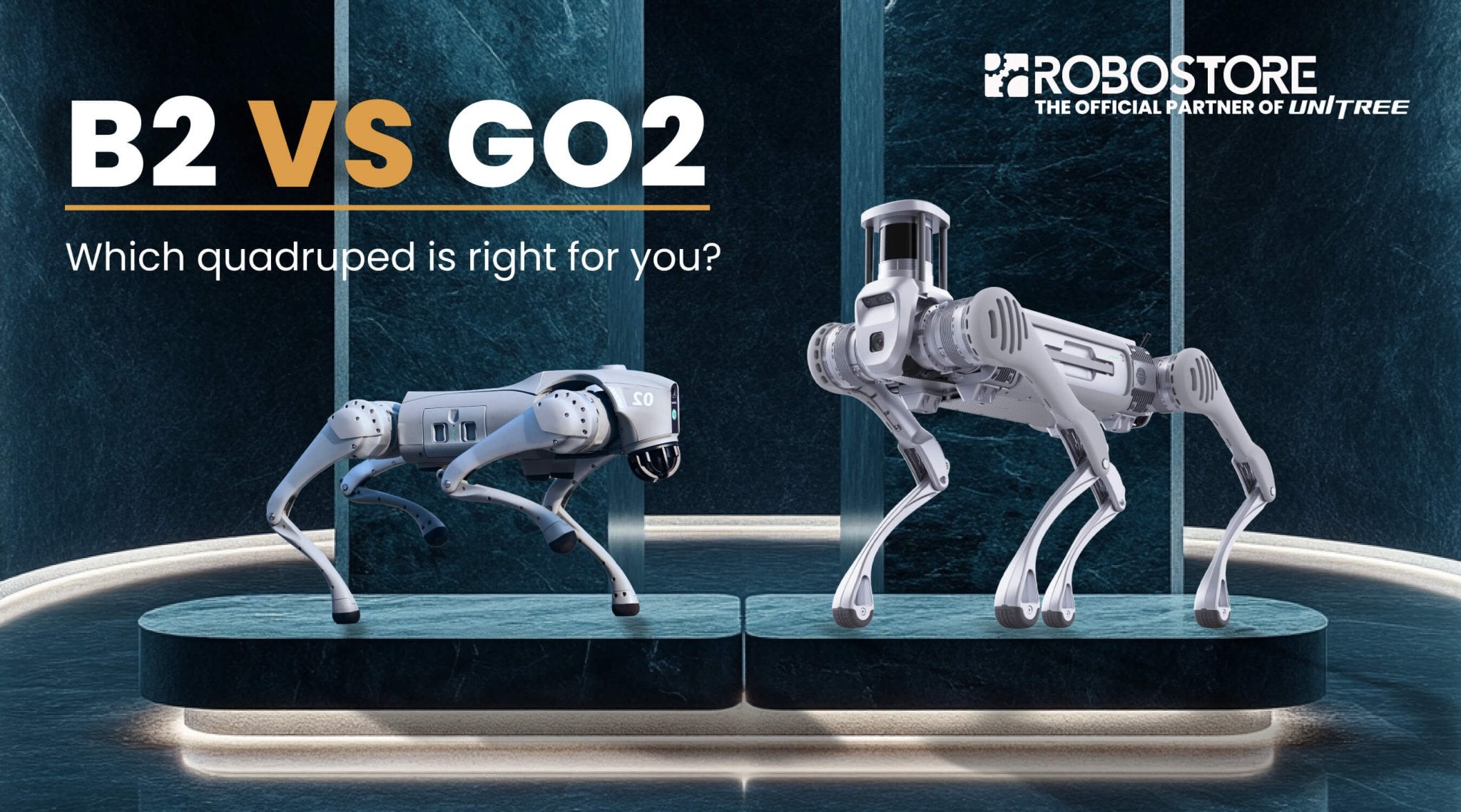 Unitree B2 vs. GO2: Choosing the Right Quadruped Robot for Your Needs - RoboStore