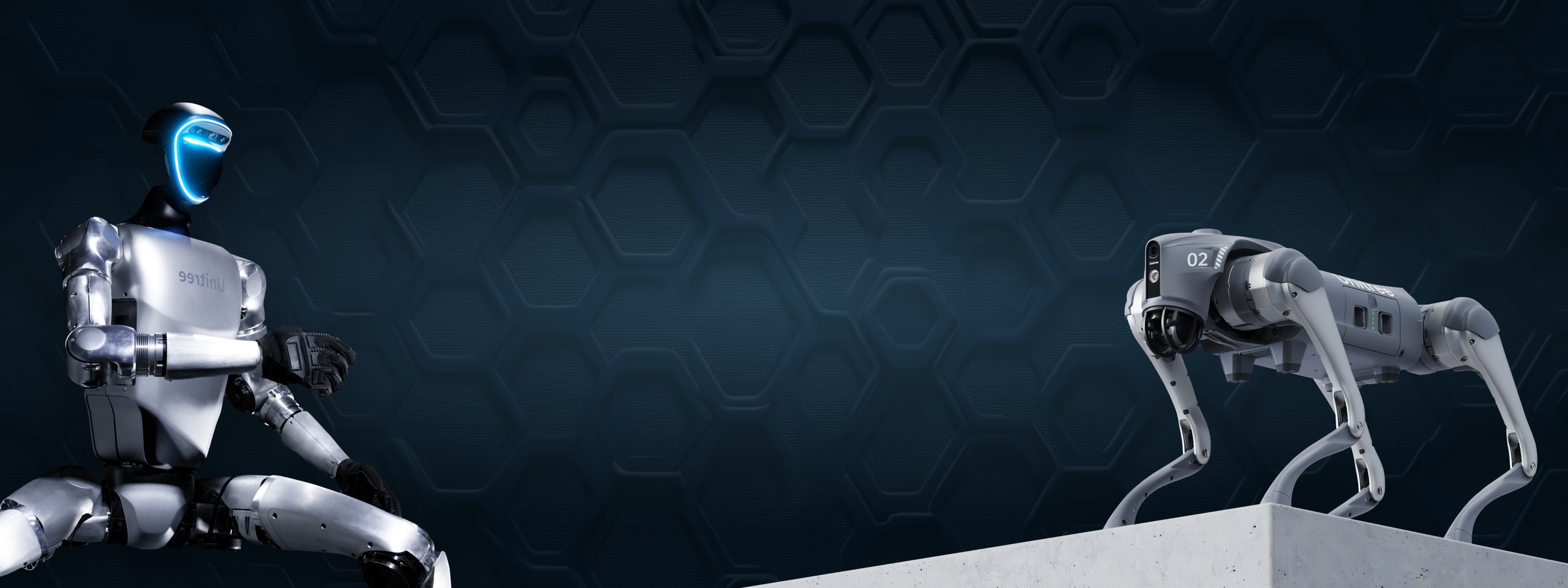 the G1 humanoid robot and the GO2 quadruped robot from unitree robotics are high quality programmable robotic hardware solutions for educational and industrial purposes.