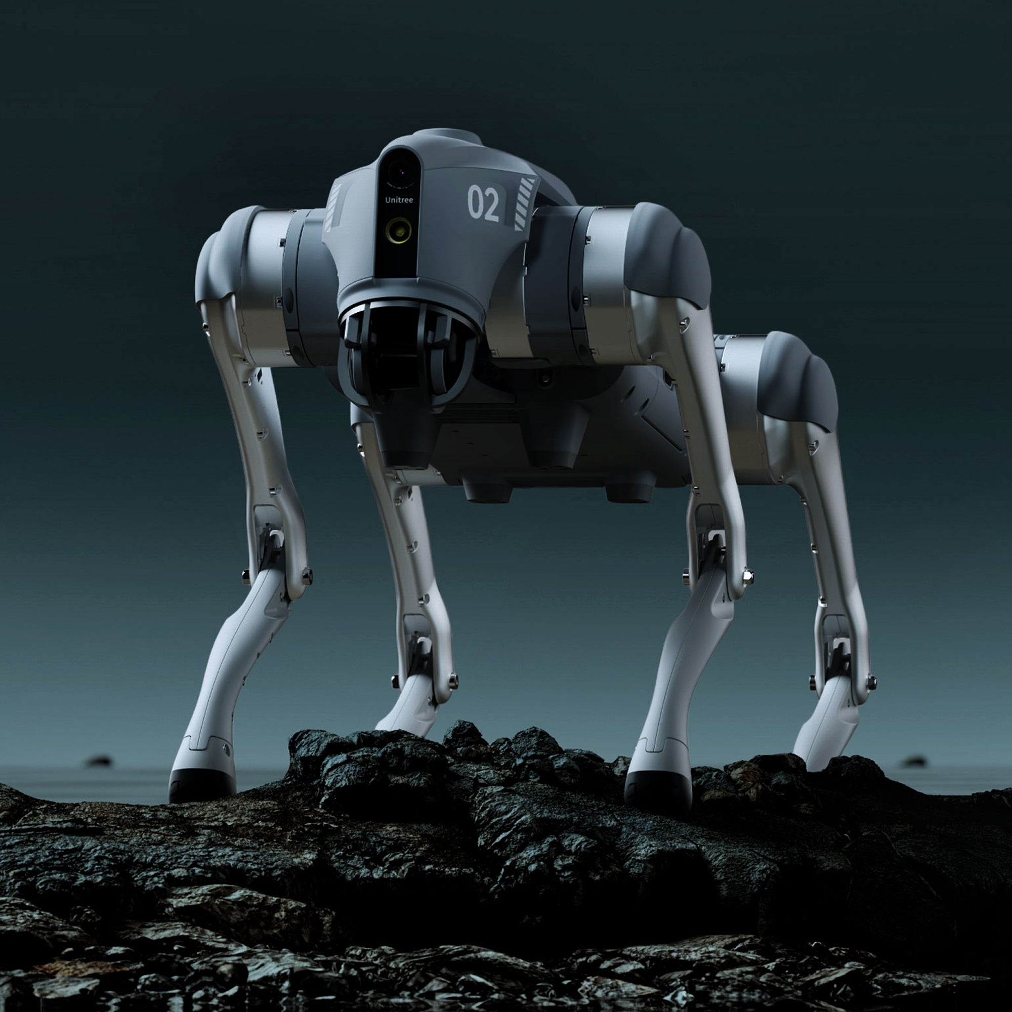 Go2 Quadruped Robot on a rocky surface with a dark sky background