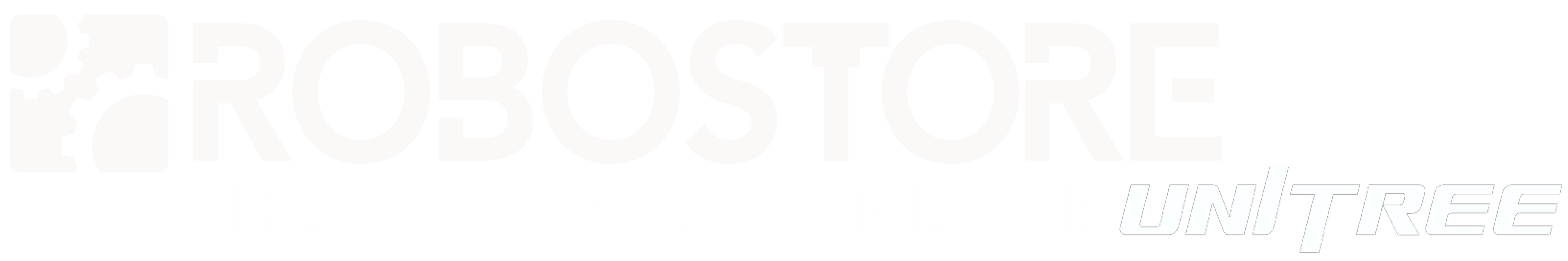 RoboStore logo