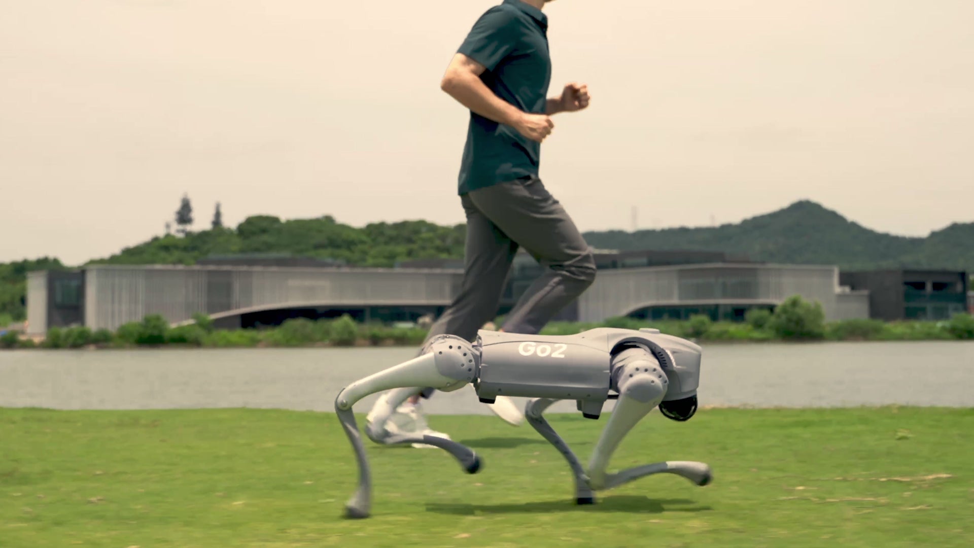 Load video: unitree go2 pro quadruped robot does cool tricks with advanced robotics