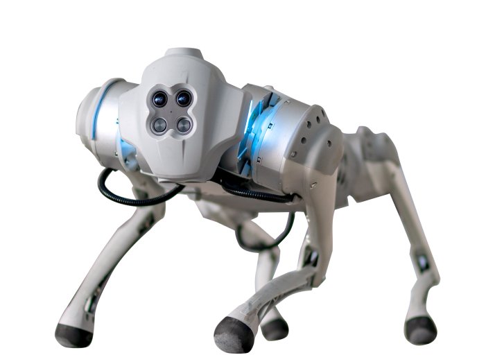 Unitree Go1 EDU Plus Al Quadruped Robot Dog - RoboStore