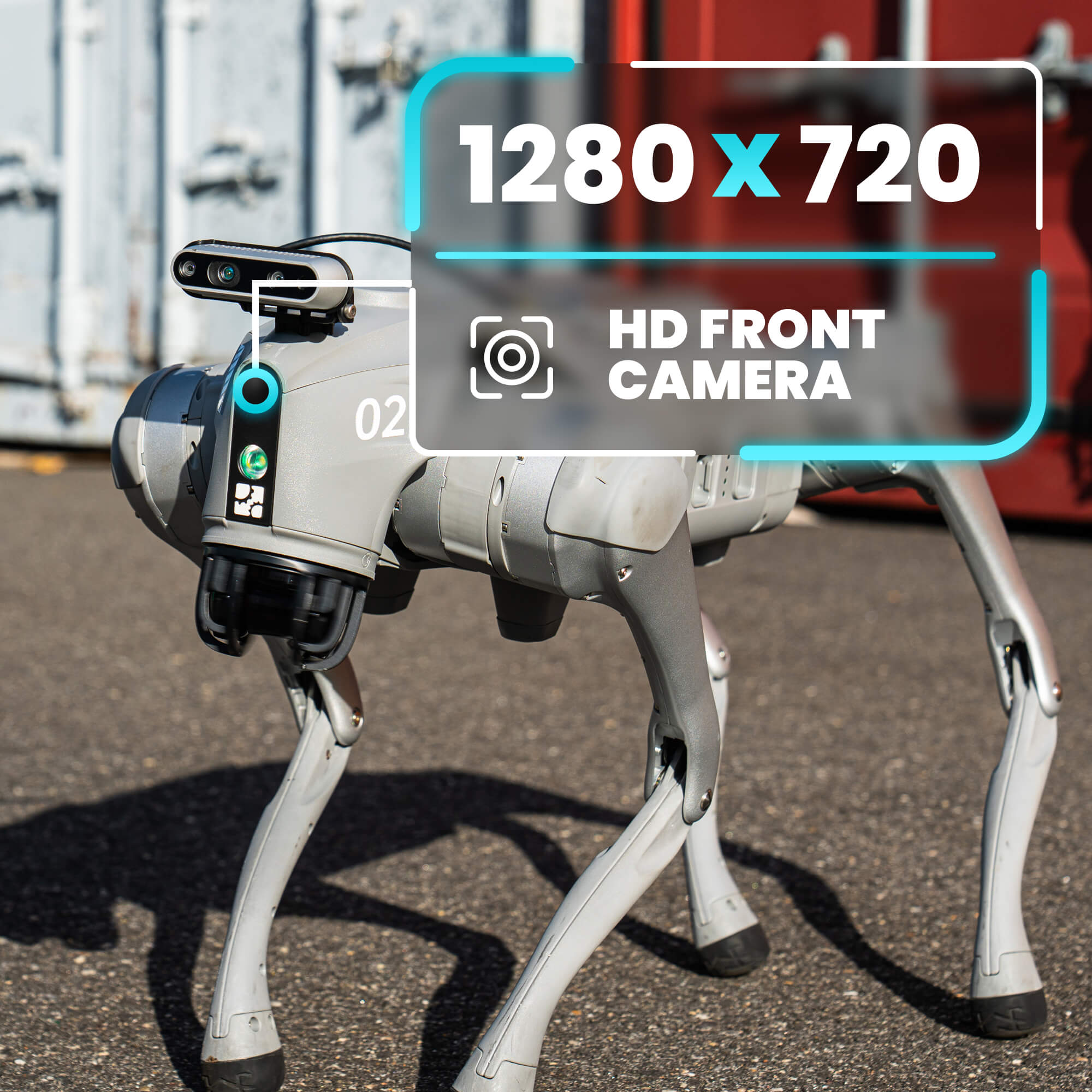 Unitree Go2 EDU AI Quadruped Robot Dog - RoboStore