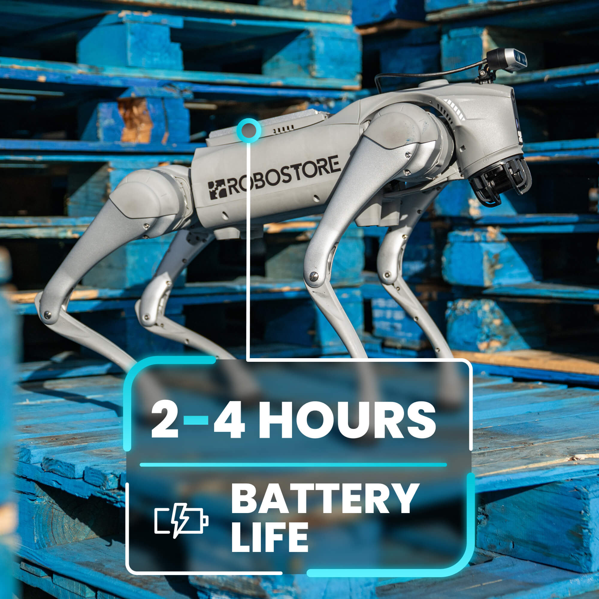 Unitree Go2 EDU AI Quadruped Robot Dog - RoboStore
