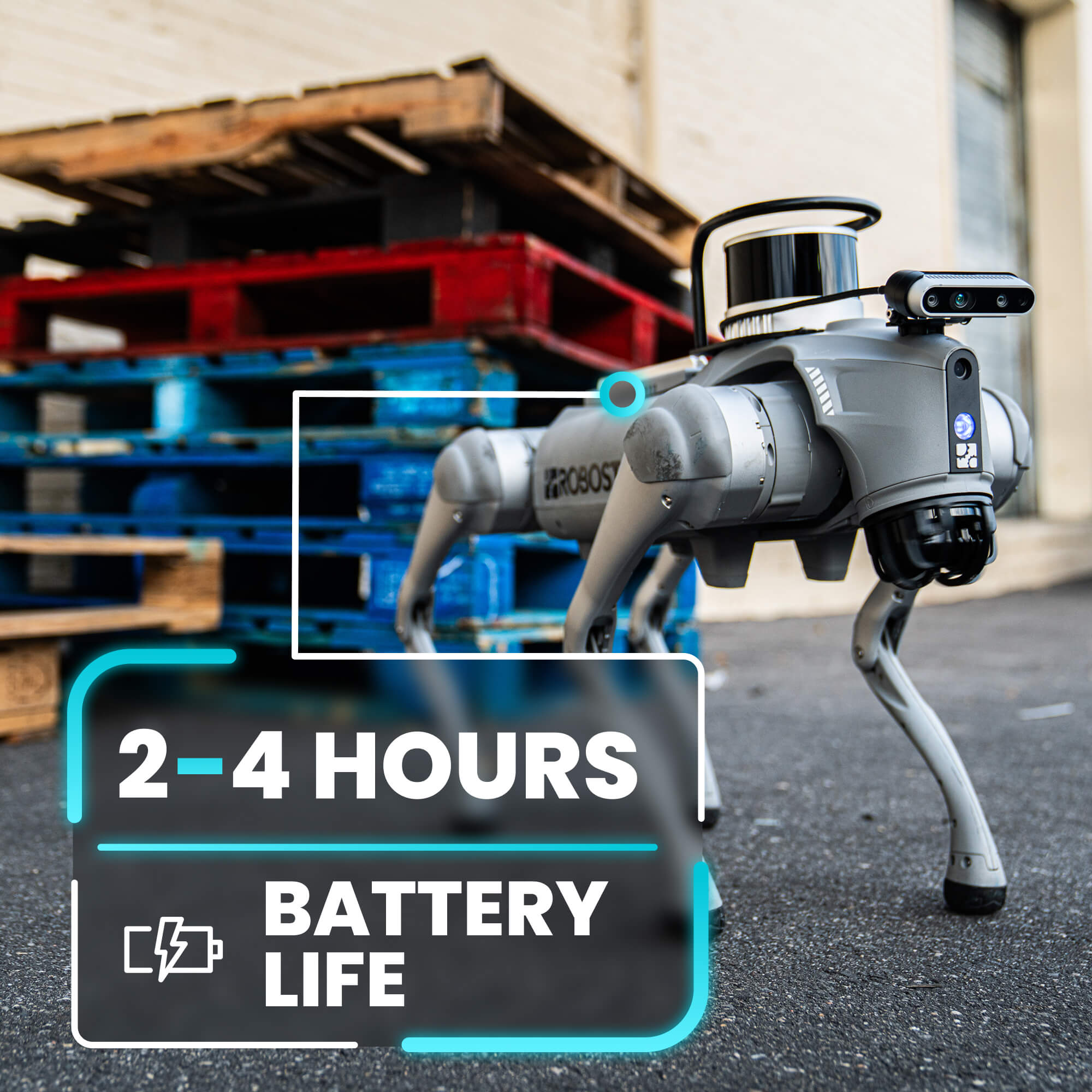 Unitree Go2 EDU+ (w/ XT16 LIDAR) AI Quadruped Robot Dog - RoboStore