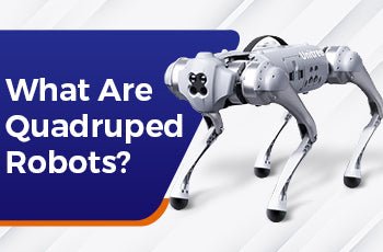 What Are Quadruped Robots? - RoboStore