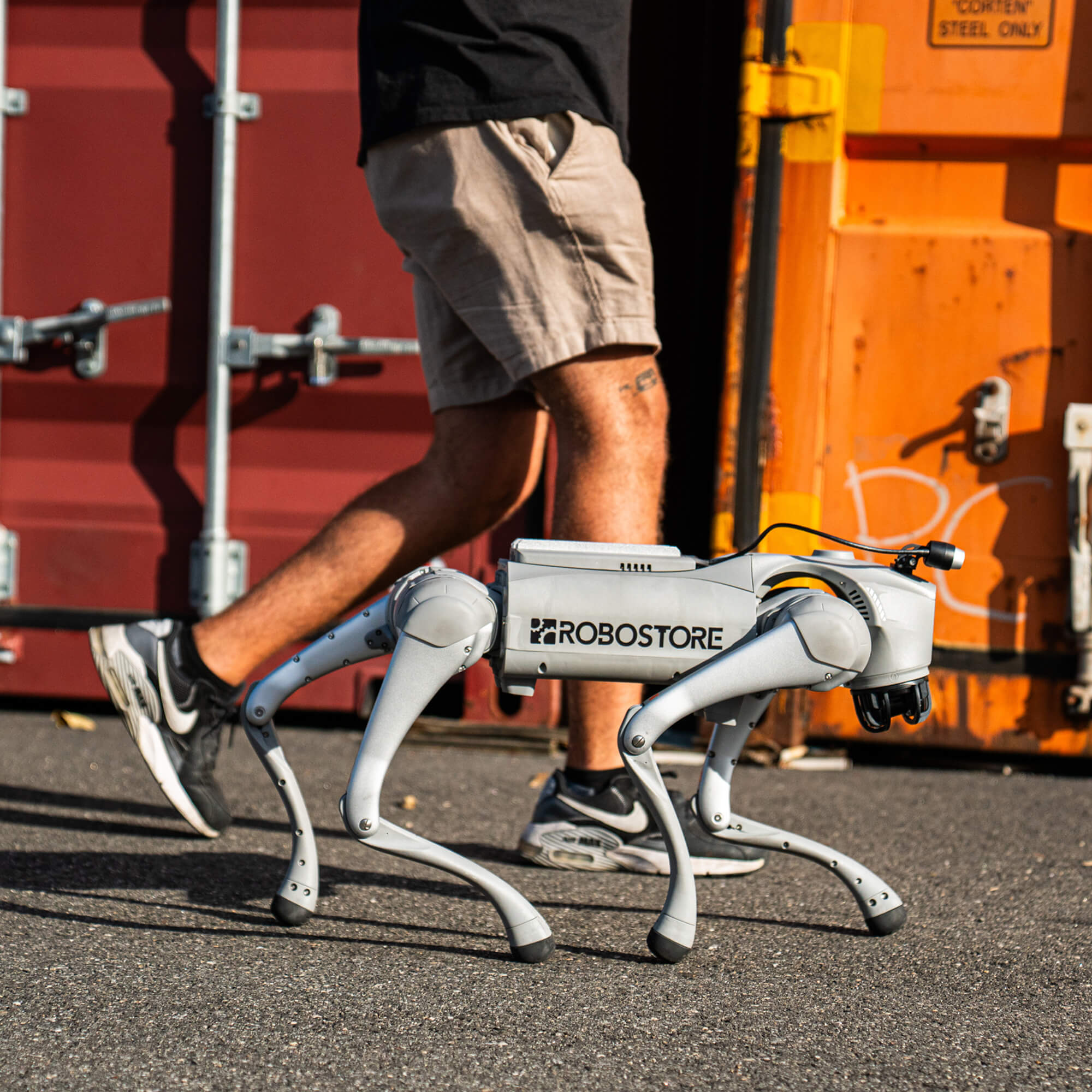 Consumer-Friendly Robots – RoboStore