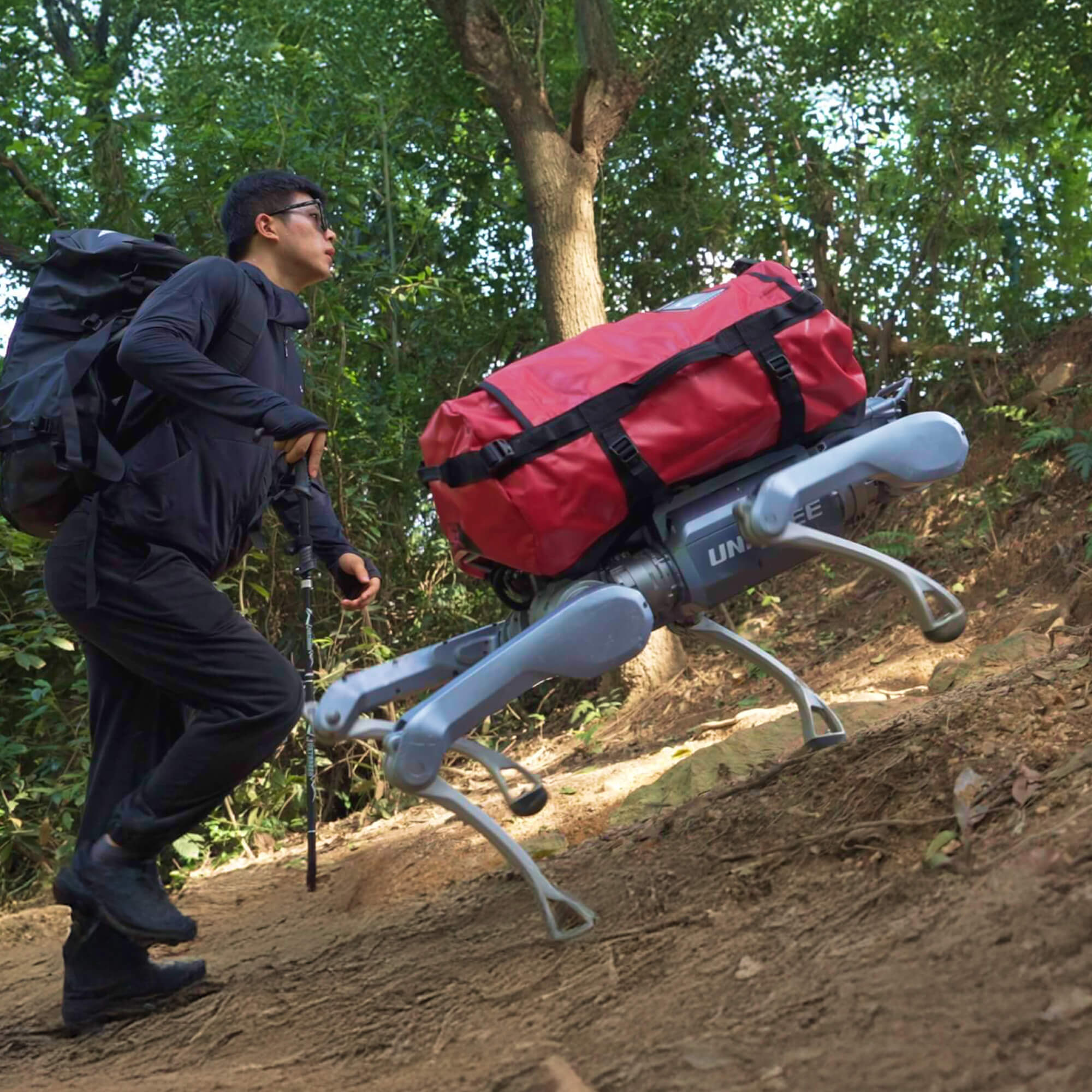 Unitree A2 Standard Quadruped Robot Dog