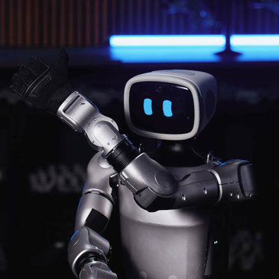IntBot AI Head for Unitree G1 - Interactive AI Assistant - RoboStore