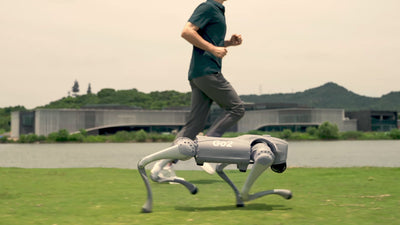 unitree go2 pro quadruped robot does cool tricks with advanced robotics