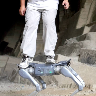 Unitree A2 Pro Quadruped Robot Dog - RoboStore