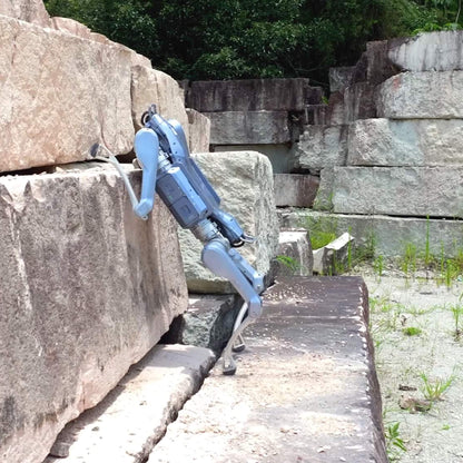 Unitree A2 Standard Quadruped Robot Dog - RoboStore