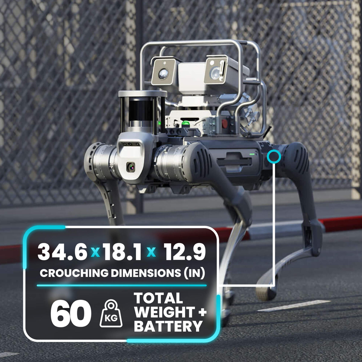 Unitree B2 Customizable Industrial Robot – RoboStore