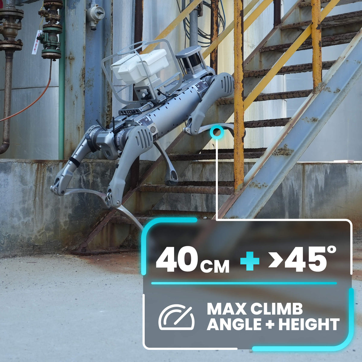 Unitree B2 Customizable Industrial Robot – RoboStore