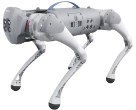 Unitree Go1 EDU  Plus (with Slamtec 2D Lidar) Quadruped Robot Dog - RoboStore