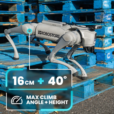 Unitree Go2 EDU+ AI Quadruped Robot Dog - RoboStore