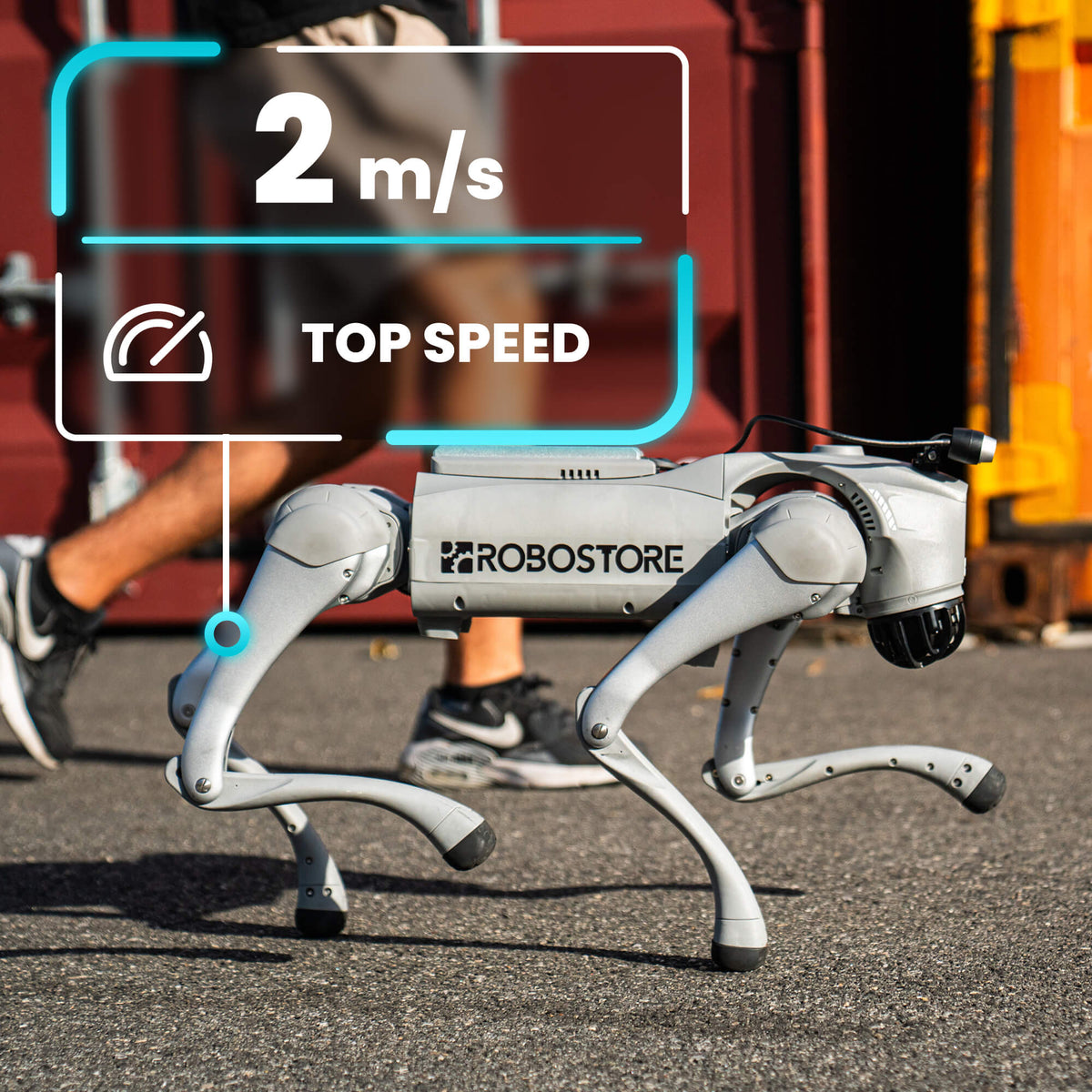 Go2 EDU Plus Quadruped Robot Dog | Robostore – RoboStore