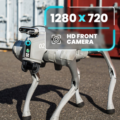 Unitree Go2 EDU+ AI Quadruped Robot Dog - RoboStore