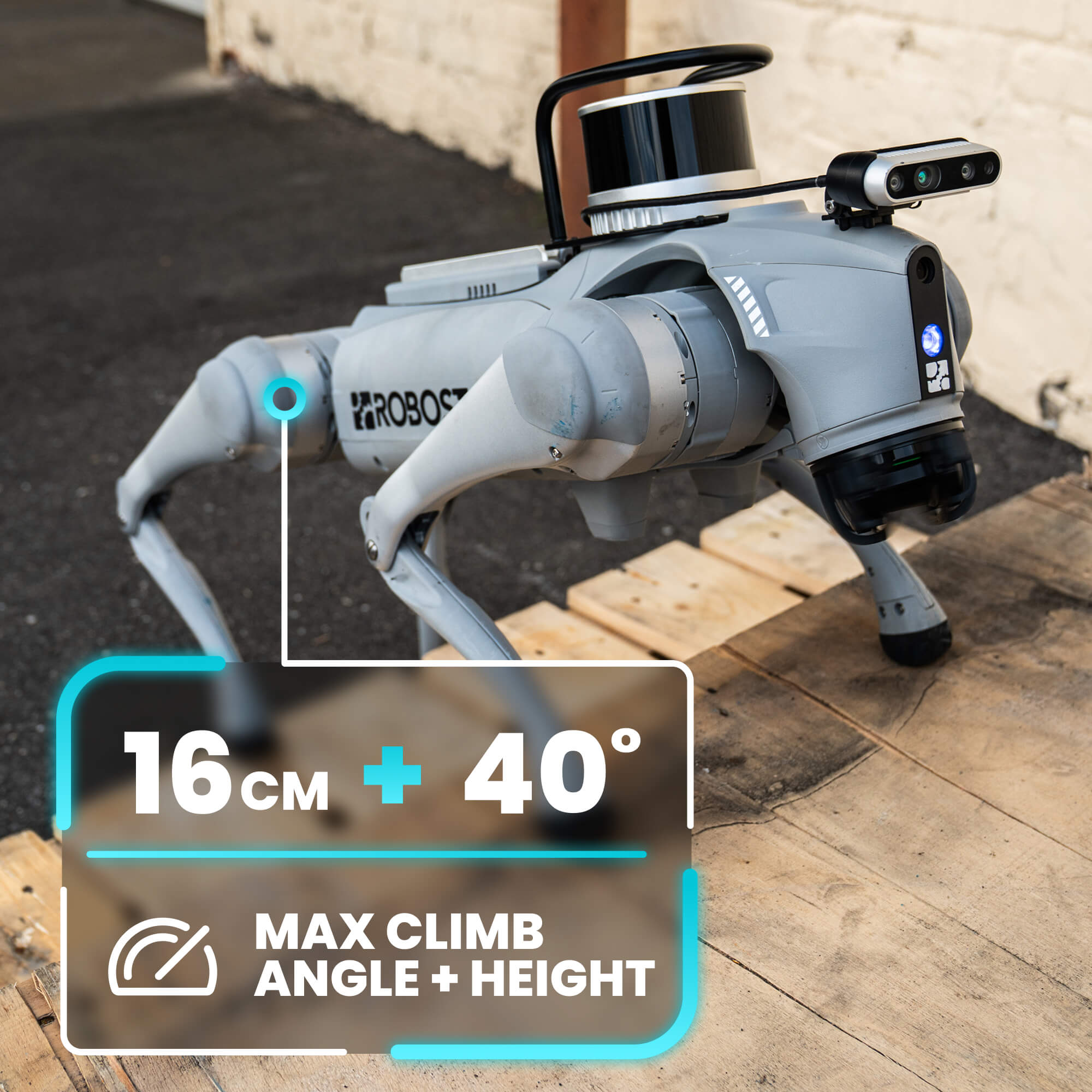 Go2 EDU+ (w/ XT16 LIDAR) AI Quadruped Robot Dog | Robostore