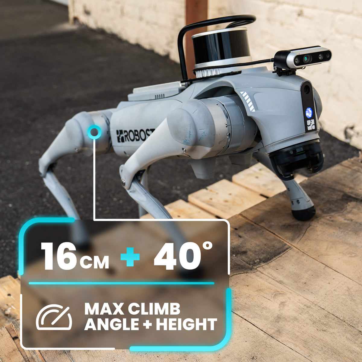 Go2 EDU+ (w/ XT16 LIDAR) AI Quadruped Robot Dog | Robostore – RoboStore