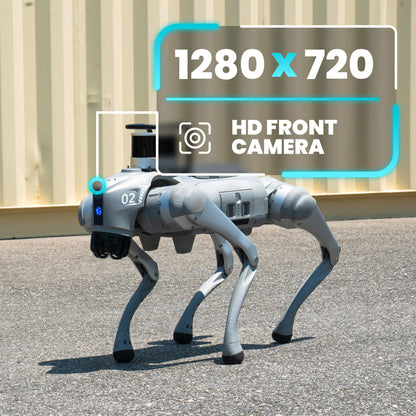 Unitree Go2 EDU+ (w/ XT16 LIDAR) AI Quadruped Robot Dog - RoboStore