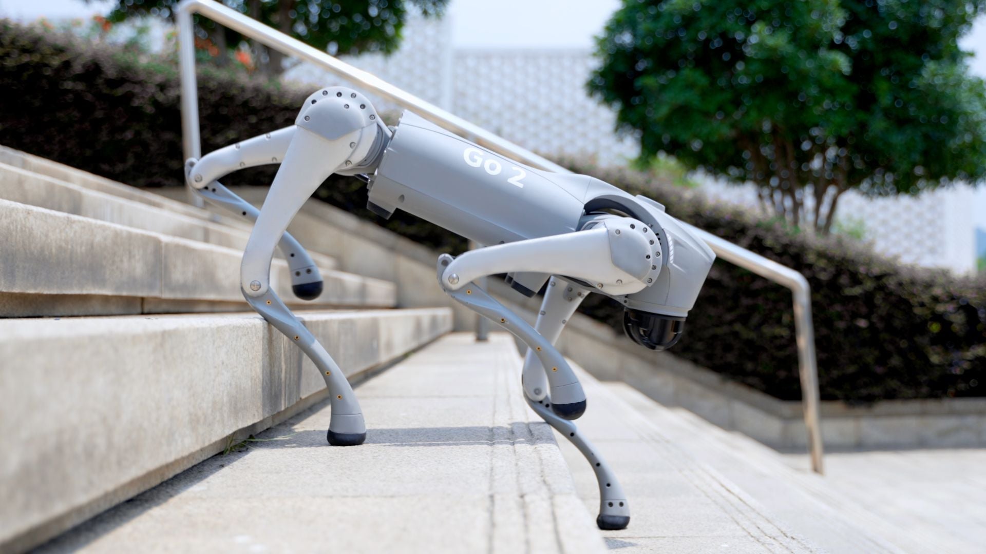 Unitree Go2 Pro AI Quadruped Robot Dog - RoboStore