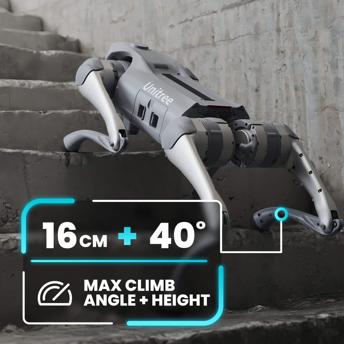 Go2 Pro AI Quadruped Robot Dog | Robostore – RoboStore